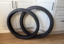Schwalbe Albert Gravity Radial 29/27,5” MTB Tyres