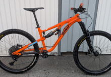 Bird Aeris AM 160 - 2019, Medium