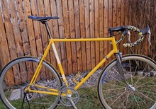 Concorde aquila