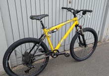 Retro- MTB Rocky Mountain Element Race 