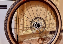 2x Vittoria Peyote XC Race 29”