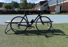 De Rosa Protos 