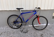 Pinewood x80, 26"