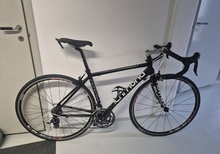 Richmond AL Size S