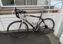 TREK Pilot 1.2 M (54cm)