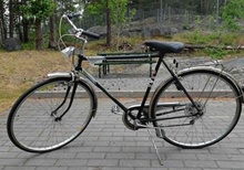 Klassisk Rex Lyx