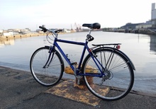 Mongoose Crossways