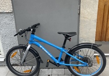 Trek Wahoo 20”
