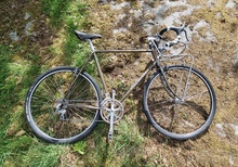 koga miyata