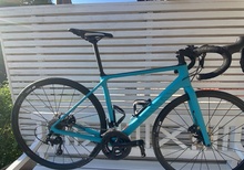 Canyon Endurance CF SL 7.0,DB ,Woman