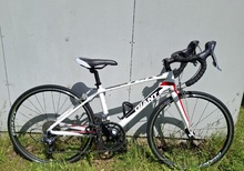 Landsvägsracer Giant