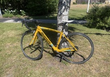 Bianchi Carbonframe Rynkeby Roadbike XS/S 
