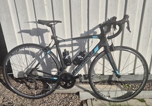 Bianchi intenso 