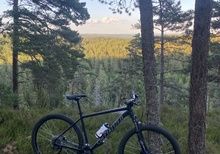 Specialized Rockhopper 29 tum sport 2021 