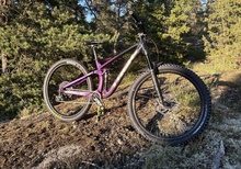 Trek fuel ex 8 - 2020
