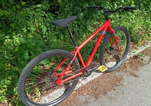 Vitus Dee singlespeed flatbar gravel 29
