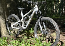 Canyon Torque Mullet AL 6