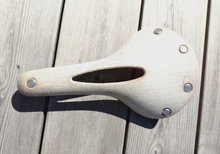 Brooks cambium c17