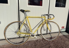 singelspeed Pinarello