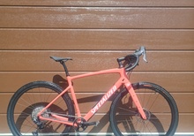 Specialized diverge carbon sport
