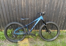 Marin Sam Quentin JR 24