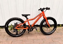 Scott roxter 20”