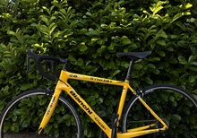 Bianchi Intrepida 2019 | 105 R7000 | Storlek 51