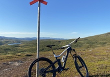 Scott Ransom 900 Tuned AXS Medium Modellår 2022