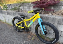 Bergmont Bergamonster Plus 20"