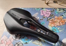 Sadel Fizik Argo Tempo