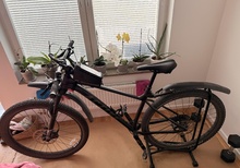 Active Hardtail Flow 29
