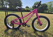 Trek Roscoe 20"
