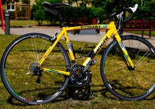 Bianchi Via Nirone 7 Team Rynkeby