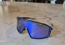 Endura Gabbro II Glasses 