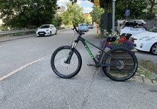 Trek Roscoe 9 grön vit 