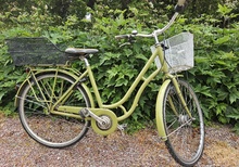 Avokadogrön Ebsen damcykel med cykelkorgar & lås – 7-växlad