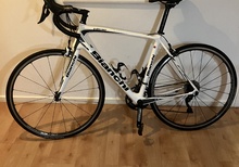Bianchi intenso