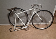 Fixed gear "Projekt"