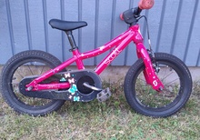 Scott contessa 14"