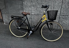 Cresent Sunnan damcykel 53cm