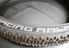 Schwalbe Racing Ray Racing Ralph 