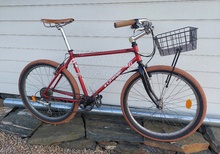 Orange 26" Strandhoj med stamtavla