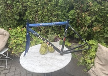 Ram De Rosa Merak 