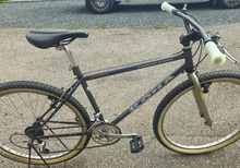 Kona Cinder Cone 1993