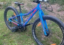 Scott Roxter 24"