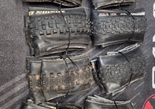 29tums mtb däck, varierande skick.Maxxis