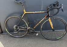 Focus izalco