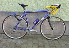 Custom Giant TCR Hawkeye Edition