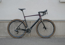 Focus Paralane 8.8 Rival / Force 12s AXS Large / 57cm
