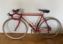 Trek fast track 470